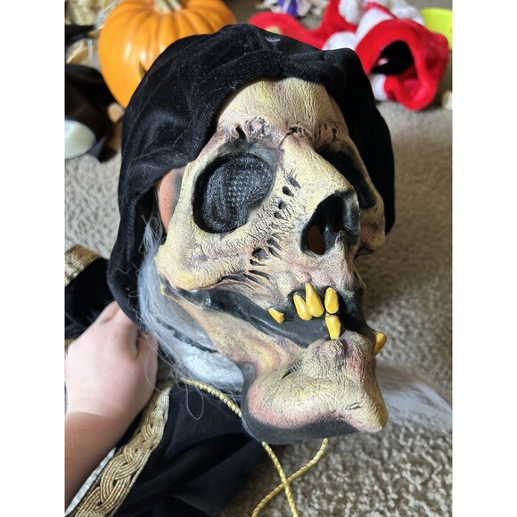 Mario Chiodo 2004 Horror Wicked Witch Skull Mask W/ Hair & Robe Hood - Picture 4 of 6